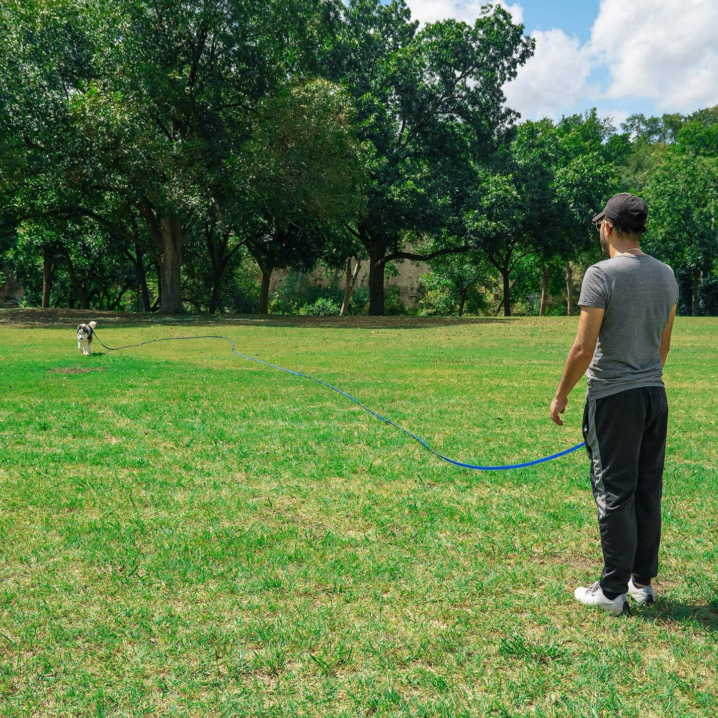 Dog Obedience Recall Training Agility Lead-15ft 20ft 30ft 50ft Dog Leash for Large Dog - Great for Training,Play,Camping,or Backyard