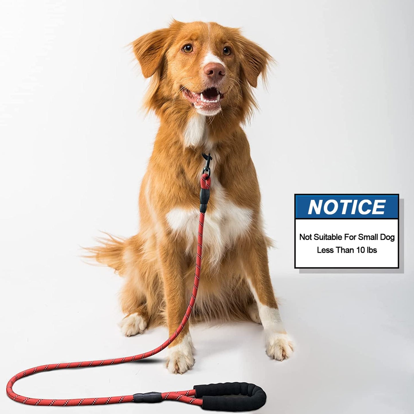 ZOUYUE Rope Dog Leash 5 FT with Comfortable Padded Handle, Highly Reflective Threads Dog Leash for Large/Medium Dogs, 1/2 inch, Multi-Color